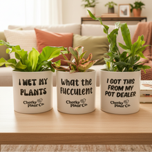Load image into Gallery viewer, Trio Assorted Indoor Plants in Funny Pots (12.5cmD x 12cmH) - Sydney Only
