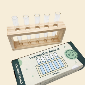 Propagation Station - 5 Tubes - Cheeky Plant Co.