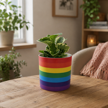 Load image into Gallery viewer, Rainbow - Cheeky Plant Co. Pot - 12.5cmD x 12cmH
