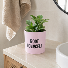 Load image into Gallery viewer, Plant Drama - Pot Bundle
