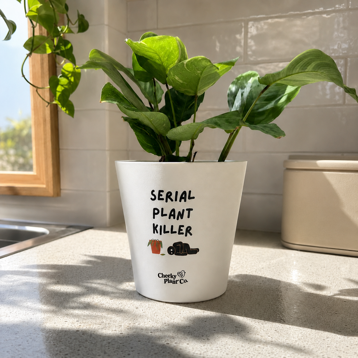 Serial Plant Killer - Cheeky Plant Co. Pot - 13.5cmD x 11.5cmH