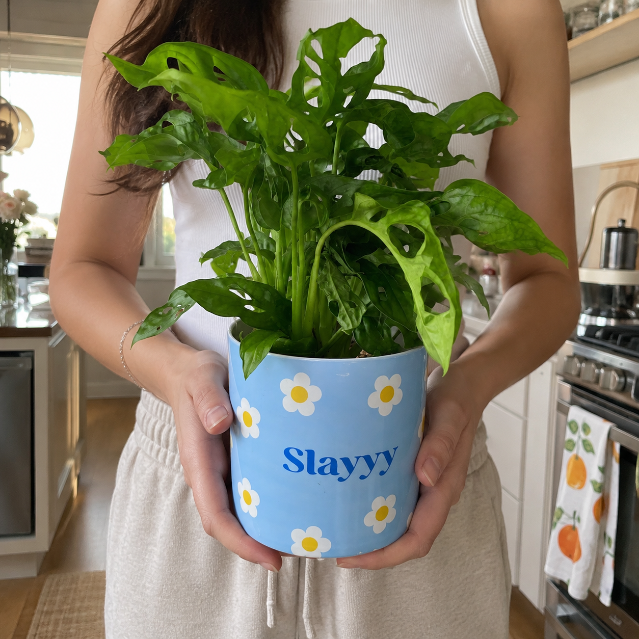 What a Serial Plant Slayer - Pot Bundle