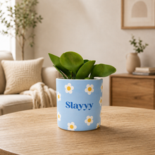 Load image into Gallery viewer, Assorted Potted Plant - CHOOSE YOUR CHEEKY POT - Sydney Only
