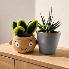 Load image into Gallery viewer, Plushie &amp; Succulent Gift Box
