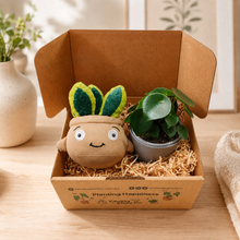 Load image into Gallery viewer, Plushie &amp; Plant Gift Box

