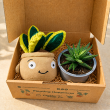 Load image into Gallery viewer, Cheeky Snake Plant Plushie &amp; Succulent Gift Box
