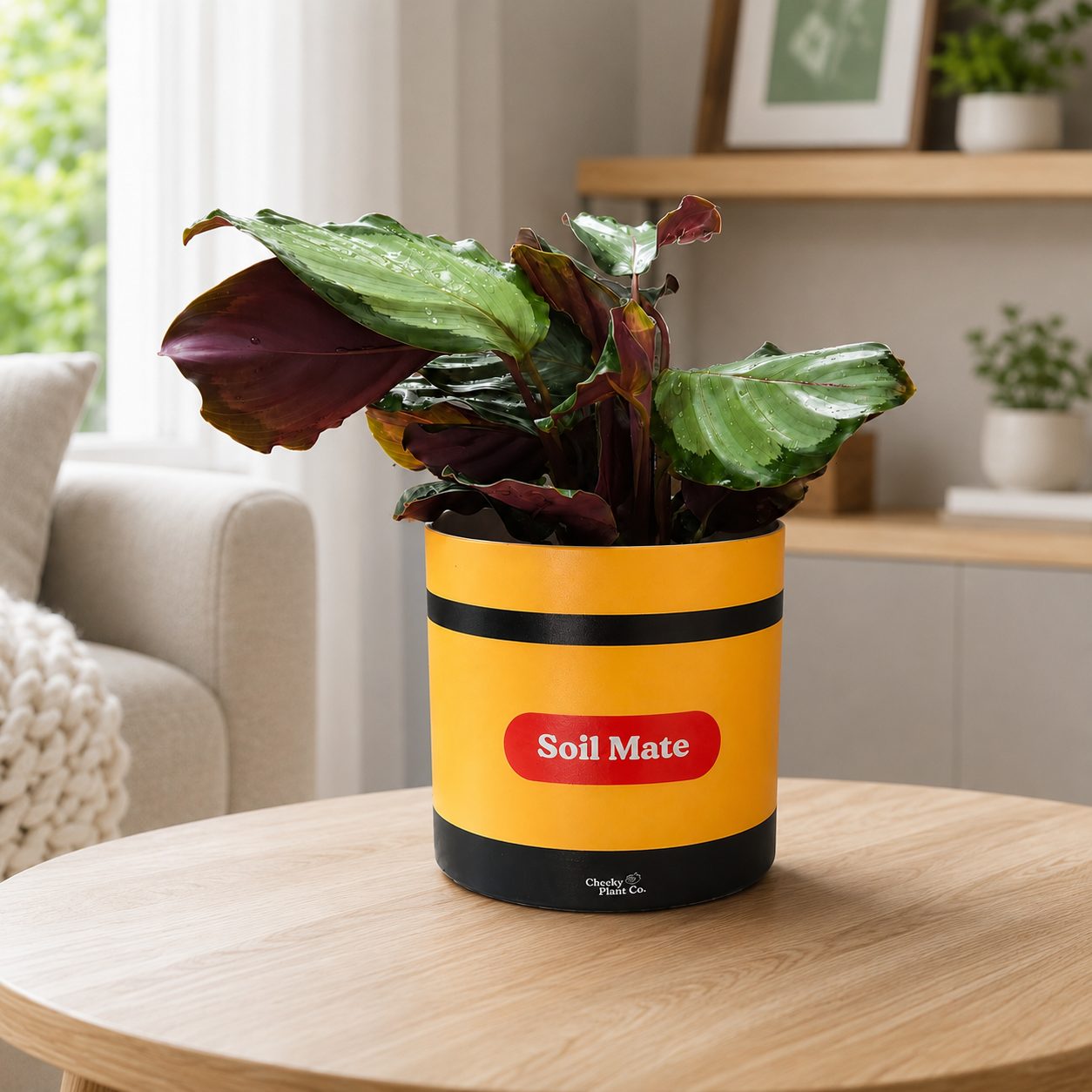 Soil Mate - Cheeky Plant Co. Pot -12.5cmD x 12cmH