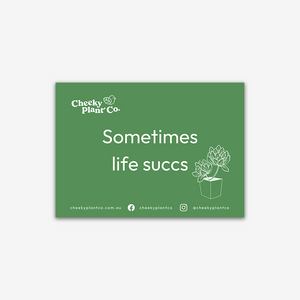 Cheeky Greeting Cards - Green
