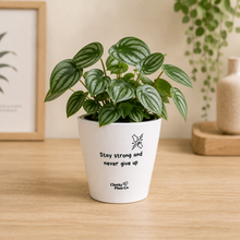 Load image into Gallery viewer, Strong - Cheeky Plant Co. Positive Pot - 11cmD x 11cmH

