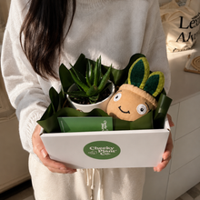 Load image into Gallery viewer, Succulent &amp; Plant Plushie Gift - Sydney Only
