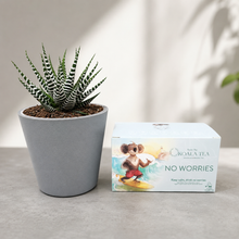 Load image into Gallery viewer, Tea &amp; Succulent Gift Box
