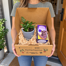 Load image into Gallery viewer, Tea &amp; Plant Gift Box
