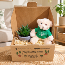 Load image into Gallery viewer, Teddy Bear &amp; Succulent Gift Box
