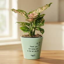 Load image into Gallery viewer, Thank You For All You Do - Cheeky Plant Co. Positive Pot - 11cmD x 11cmH
