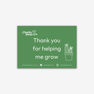 Cheeky Greeting Cards - Green