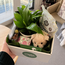 Load image into Gallery viewer, Best Birthday - Assorted Plant Gift Hamper - Sydney Only
