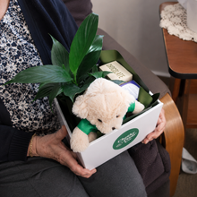 Load image into Gallery viewer, Thinking of You Plant Hamper - Sydney Only
