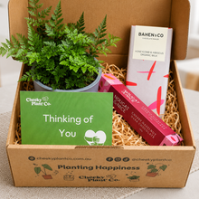 Load image into Gallery viewer, Thinking of You / Comforting Condolence Plant Gift Box
