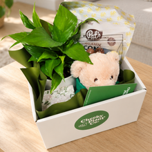 Load image into Gallery viewer, Thinking of You Gift Hamper - Better than Flowers - Sydney Only
