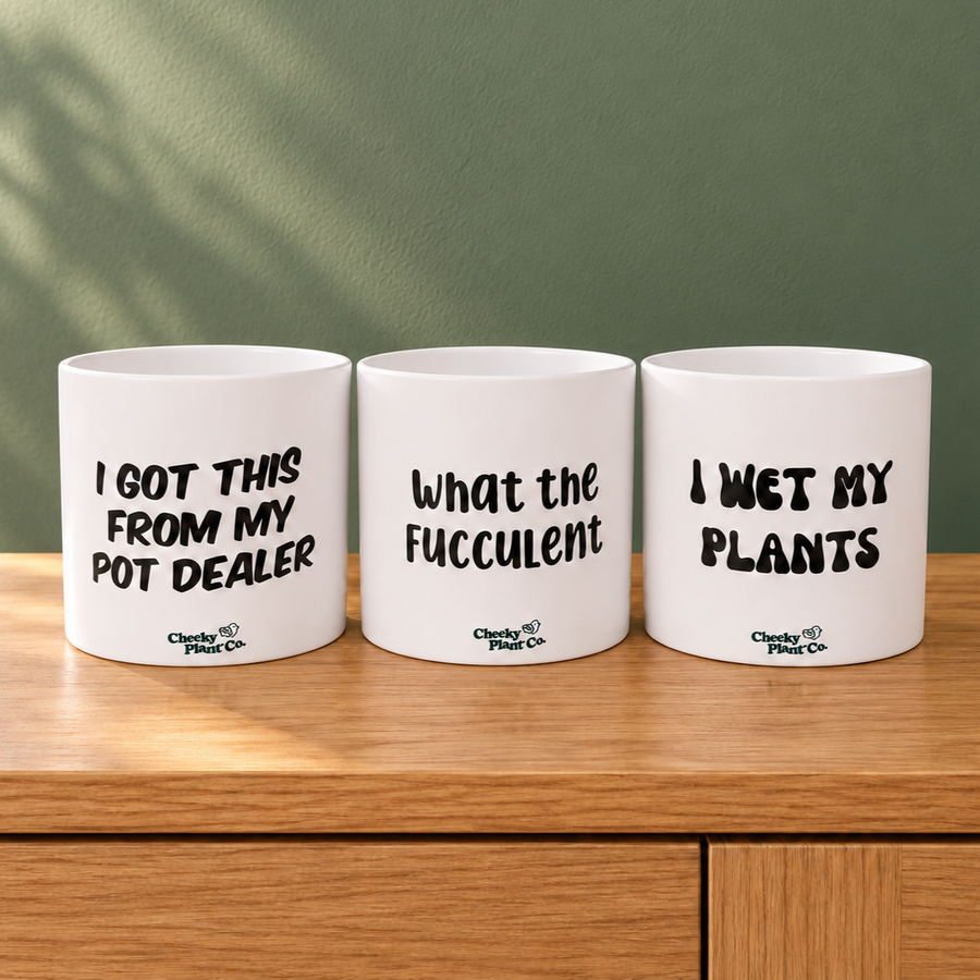 Trio Pack - Funny - Cheeky Plant Co. Pots - 12.5cmD x 12cmH