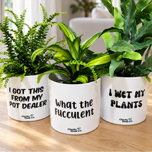 Load image into Gallery viewer, Trio Assorted Indoor Plants in Funny Pots (12.5cmD x 12cmH) - Sydney Only
