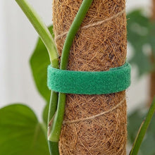 Load image into Gallery viewer, Grow Plants Taller Care Bundle

