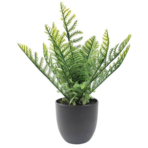 Faux Plant - Fern 29cm