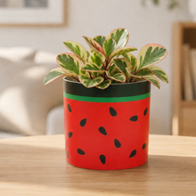 Load image into Gallery viewer, Indoor Plant Watering Kit - Watermelon Pot Bundle
