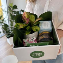 Load image into Gallery viewer, Wedding / Engagement - Plant Gift Hamper - Sydney Only
