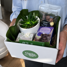 Load image into Gallery viewer, Wedding / Engagement - Succulent Gift Hamper - Sydney Only
