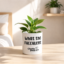 Load image into Gallery viewer, What the Fucculent - Cheeky Plant Co. Pot - 12.5cmD x 12cmH
