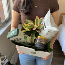 Load image into Gallery viewer, What The Fucculent - Plant Gift Hamper - Sydney Only
