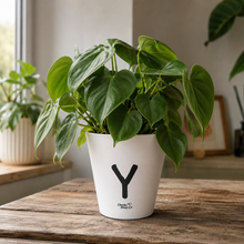 Load image into Gallery viewer, Why Oh Why - Cheeky Plant Co. Rude Pot - 13.5cmD x 11.5cmH
