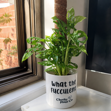 Load image into Gallery viewer, Support Your Plants - Trellis Bundle
