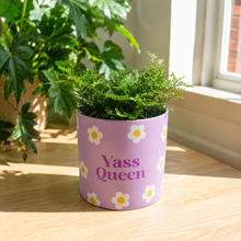 Load image into Gallery viewer, Yass Queen - Cheeky Plant Co. Pot - 12.5cmD x 12cmH
