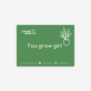 Cheeky Greeting Cards - Green
