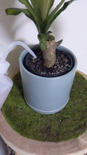 Load and play video in Gallery viewer, Watering Bottle - 500mL
